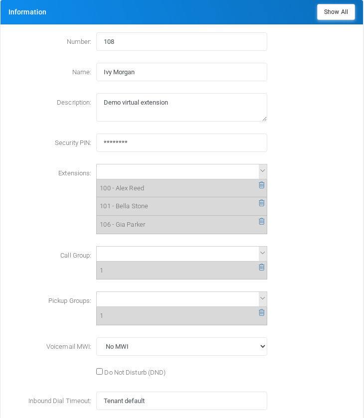 Information section for virtual extension 108.