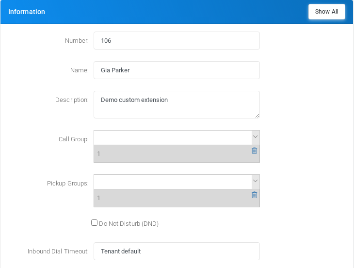 Information section for custom extension 106.