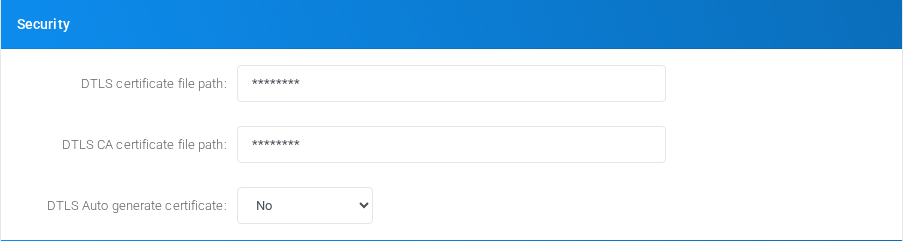 Security section for PJSIP endpoint for extension 101.