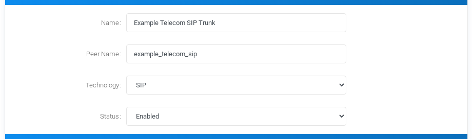 Provider Information block filled with fictional SIP trunk values.