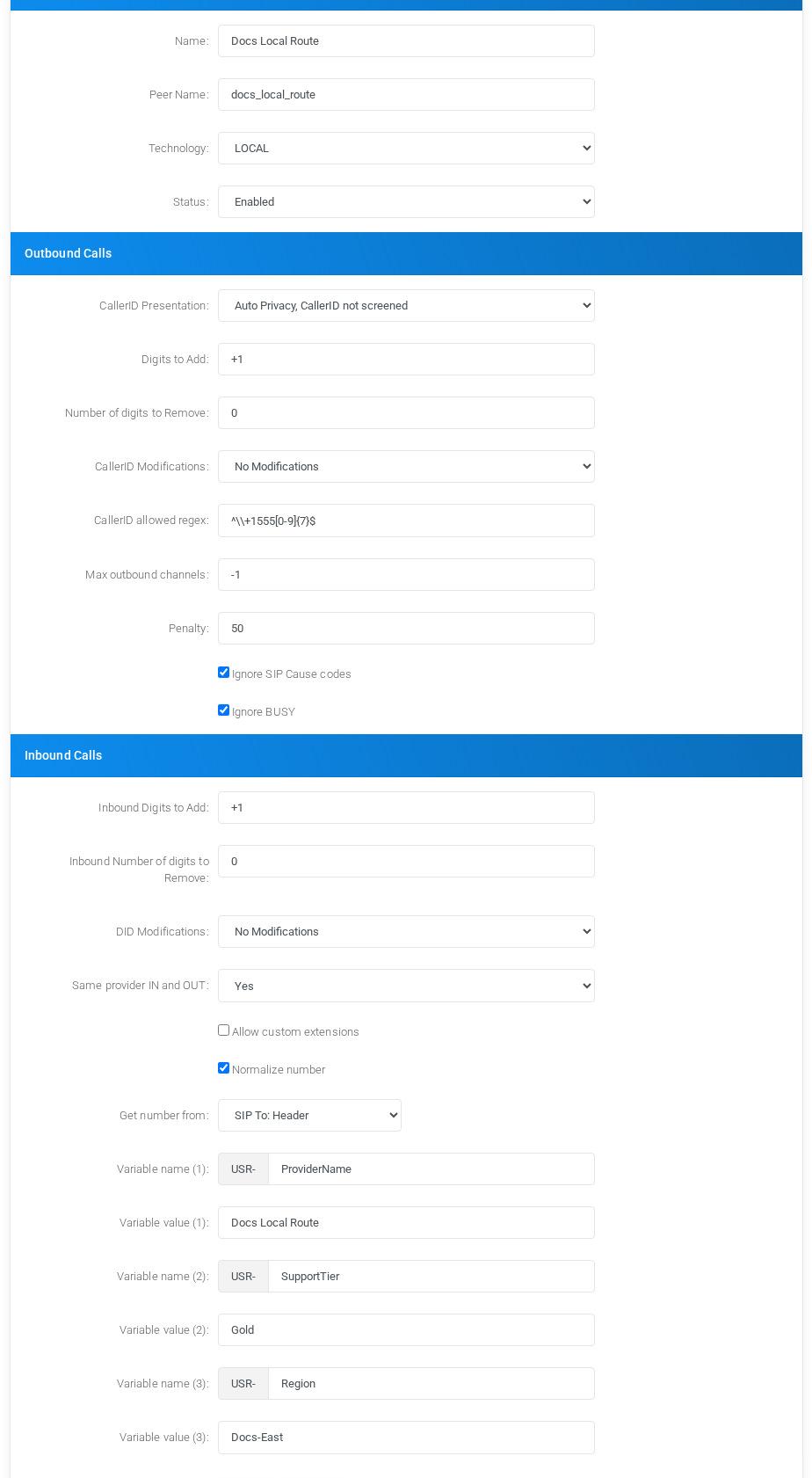 LOCAL provider fields with fictional local route values.
